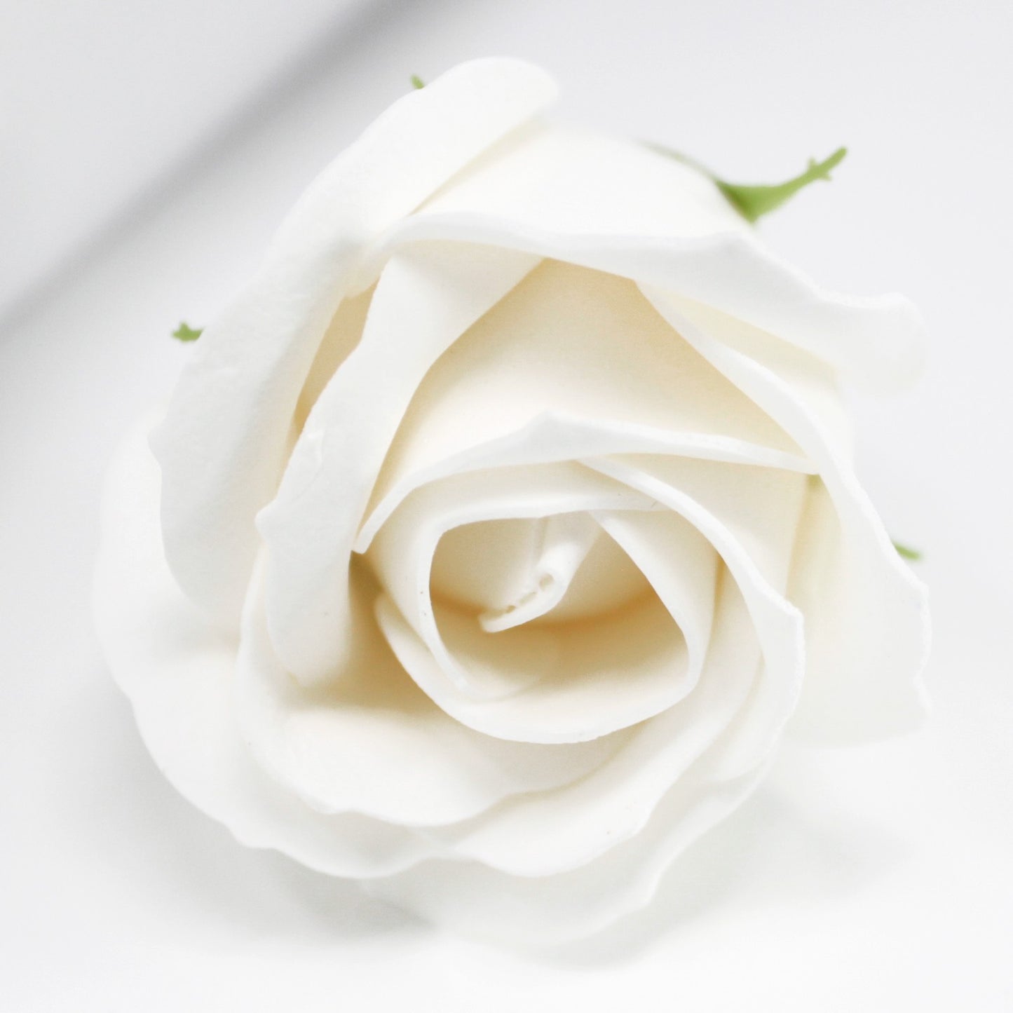 Bociolo Bianco