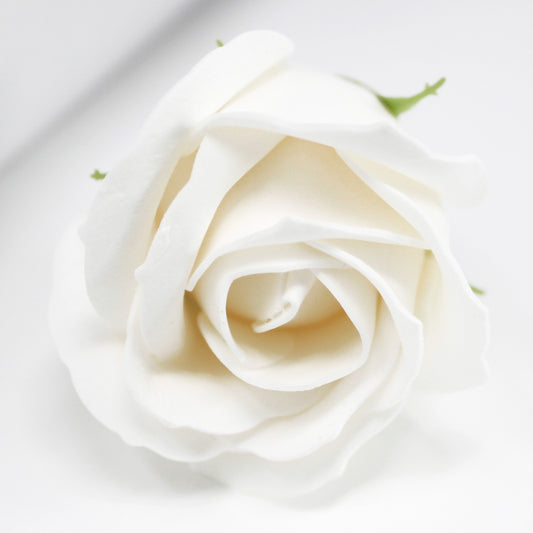 Bociolo Bianco