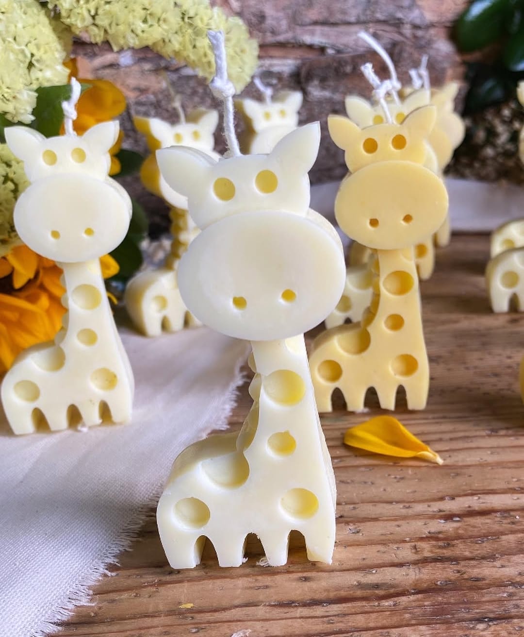 Giraffa